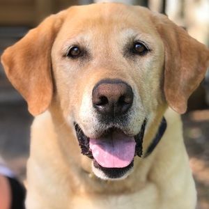 Meet your Posher, Jill